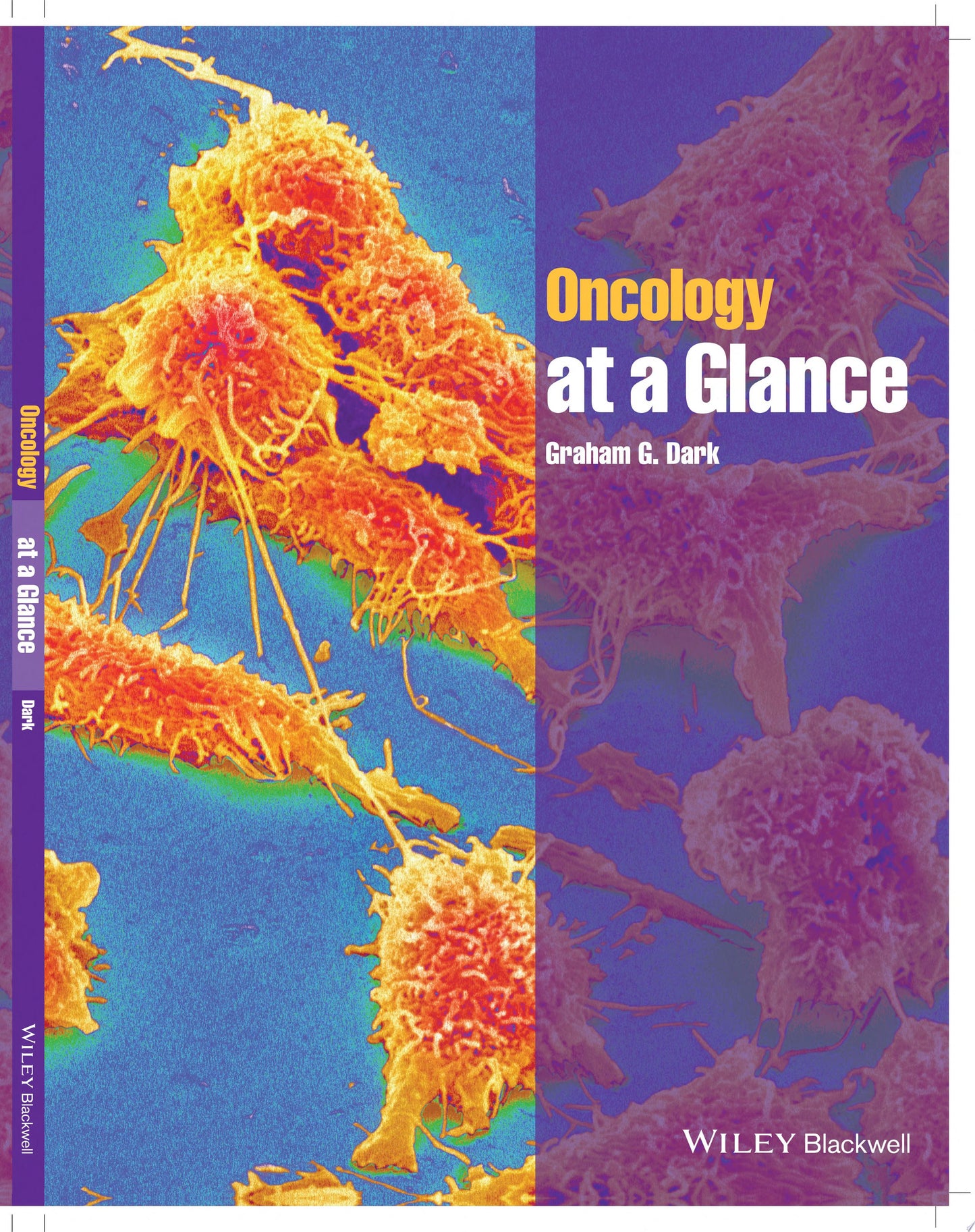 Oncology at a Glance
