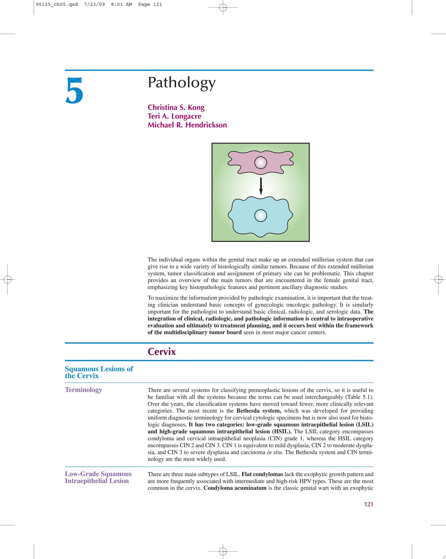 Berek & Hacker’s Gynecologic Oncology, 5th Edition